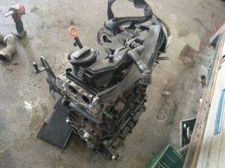 bontott SKODA OCTAVIA II Motor (Fűzött blokk hengerfejjel)