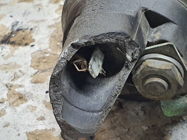 bontott SKODA OCTAVIA II Önindító