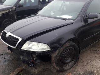 bontott SKODA OCTAVIA II Bal hátsó Ajtó (Üres lemez)