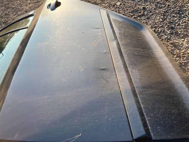 bontott SKODA OCTAVIA II Bal hátsó Ajtó (Üres lemez)