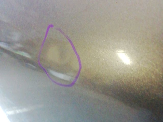 bontott SKODA OCTAVIA II Bal hátsó Ajtó (Üres lemez)