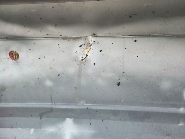 bontott SKODA OCTAVIA II Hátsó Lökhárító (Üresen)