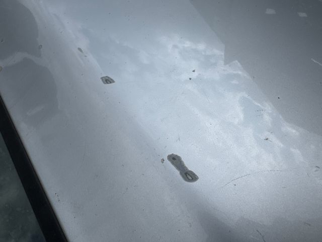 bontott SKODA OCTAVIA II Jobb első Ajtó (Üres lemez)