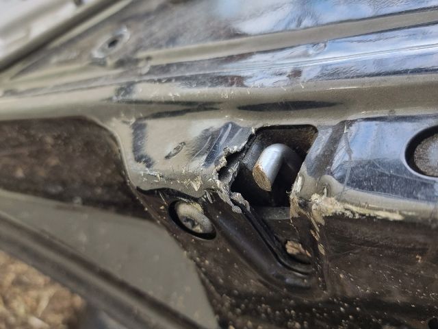 bontott SKODA OCTAVIA II Jobb hátsó Ajtó (Üres lemez)