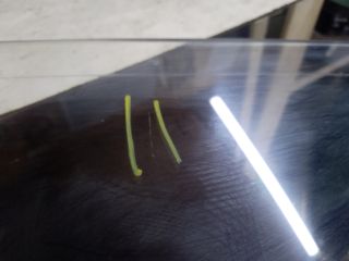 bontott SKODA OCTAVIA II Jobb hátsó Fixüveg (Ajtóban)