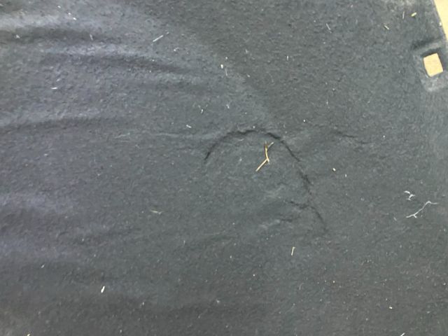 bontott SKODA OCTAVIA II Motorháztető Szigetelés