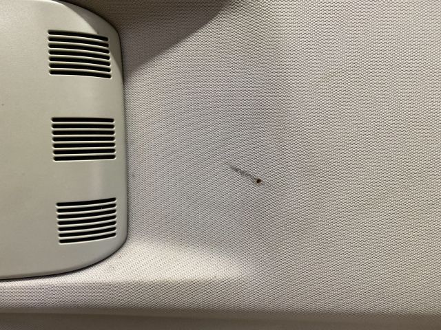 bontott SKODA OCTAVIA II Tetőkárpit