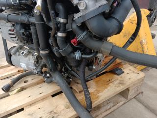 bontott SKODA OCTAVIA III Motor (Fűzött blokk hengerfejjel)