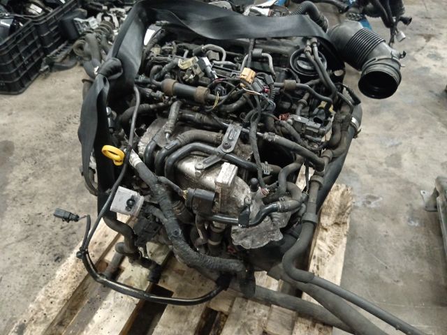 bontott SKODA OCTAVIA III Motor (Fűzött blokk hengerfejjel)