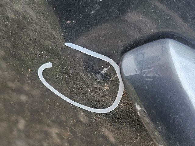 bontott SKODA OCTAVIA III Bal hátsó Ajtó (Üres lemez)