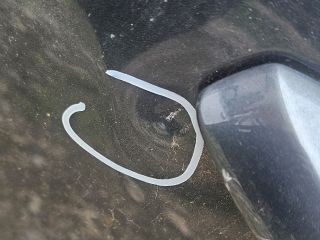 bontott SKODA OCTAVIA III Bal hátsó Ajtó (Üres lemez)