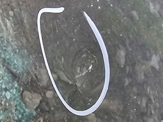 bontott SKODA OCTAVIA III Bal hátsó Ajtó (Üres lemez)