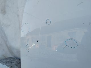 bontott SKODA OCTAVIA III Bal hátsó Ajtó (Üres lemez)