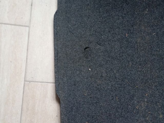 bontott SKODA OCTAVIA III Csomagtér Tálca