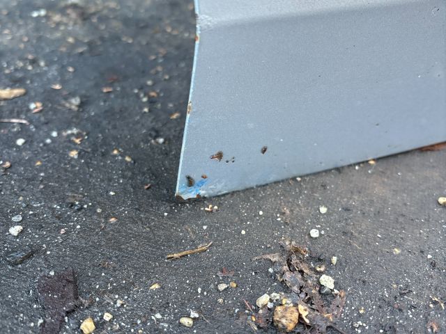 bontott SKODA OCTAVIA III Jobb első Ajtó (Részeivel)