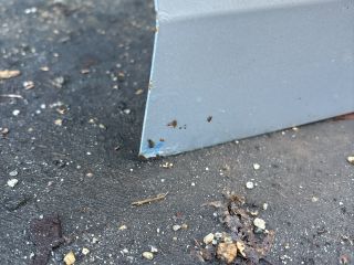 bontott SKODA OCTAVIA III Jobb első Ajtó (Részeivel)