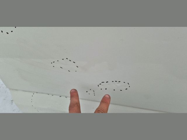 bontott SKODA OCTAVIA III Jobb első Ajtó (Üres lemez)