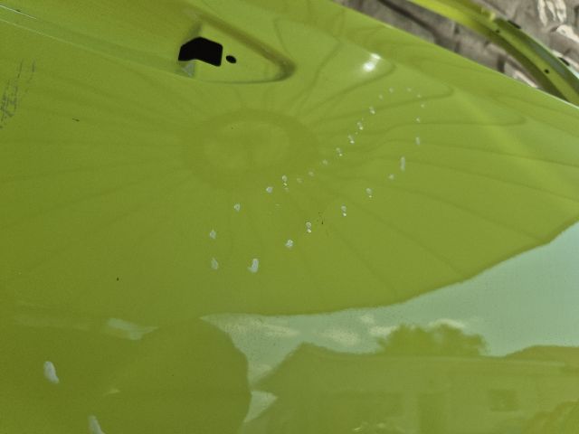 bontott SKODA OCTAVIA IV Jobb hátsó Ajtó (Üres lemez)