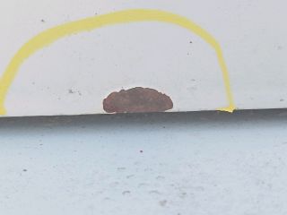 bontott SKODA ROOMSTER Csomagtérajtó (Üres lemez)