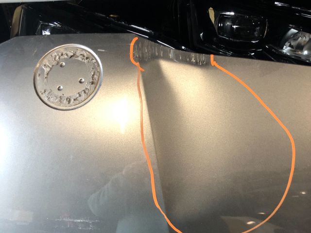 bontott SKODA SCALA Motorháztető