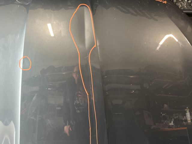 bontott SKODA SCALA Motorháztető