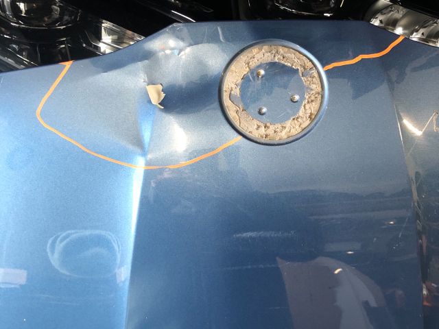 bontott SKODA SCALA Motorháztető