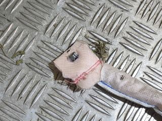 bontott SKODA SUPERB III Bal első Függöny Légzsák