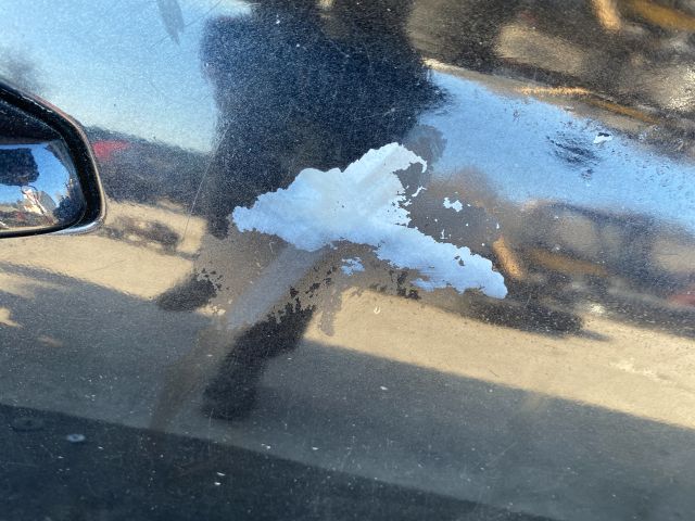 bontott SKODA SUPERB III Jobb hátsó Ajtó (Részeivel)