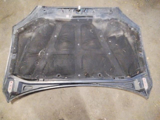 bontott SSANGYONG KYRON Motorháztető