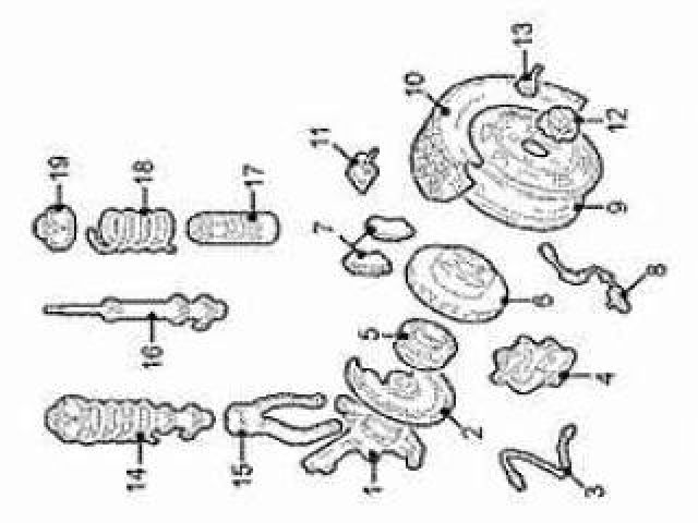 bontott SSANGYONG REXTON Bal első Gólyaláb (Lengécsillapító, Rugó)