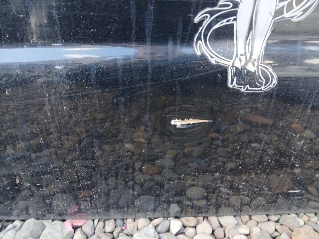 bontott SSANGYONG REXTON Bal első Ajtó (Üres lemez)