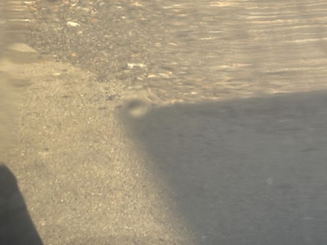 bontott SUBARU LEGACY Motorháztető