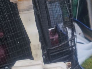 bontott SUBARU OUTBACK Ablakmosó Tartály