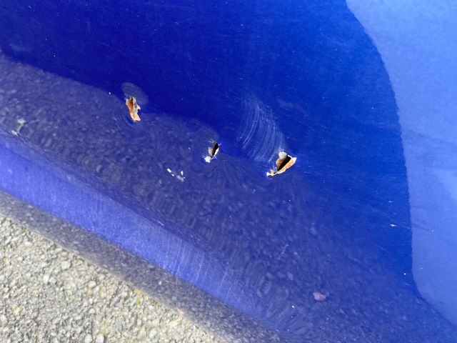 bontott SUZUKI BALENO Bal hátsó Ajtó (Üres lemez)