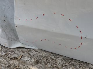 bontott SUZUKI CELERIO Bal hátsó Ajtó (Üres lemez)