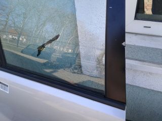 bontott SUZUKI GRAND VITARA Jobb hátsó Fixüveg (Ajtóban)