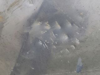 bontott SUZUKI IGNIS I Motorháztető Szigetelés