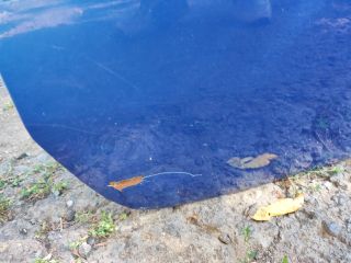 bontott SUZUKI IGNIS II Csomagtérajtó (Üres lemez)