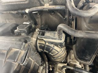 bontott SUZUKI IGNIS II Jobb hátsó Ajtó Kárpit