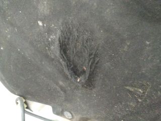 bontott SUZUKI IGNIS II Motorháztető Szigetelés