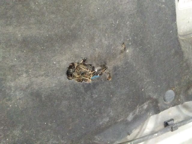 bontott SUZUKI IGNIS II Motorháztető Szigetelés