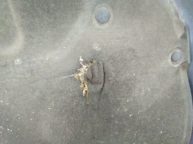 bontott SUZUKI IGNIS II Motorháztető Szigetelés