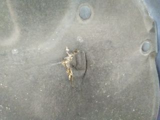 bontott SUZUKI IGNIS II Motorháztető Szigetelés