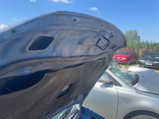 bontott SUZUKI IGNIS II Motorháztető