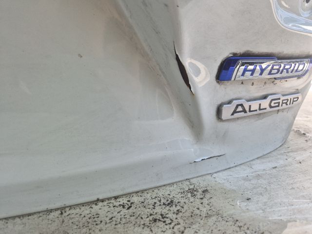 bontott SUZUKI IGNIS III Csomagtérajtó (Üres lemez)