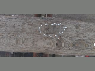 bontott SUZUKI IGNIS III Jobb első Ajtó (Üres lemez)