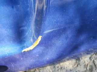 bontott SUZUKI SPLASH Csomagtérajtó (Részeivel)