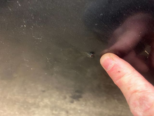 bontott SUZUKI SPLASH Jobb első Ajtó (Üres lemez)