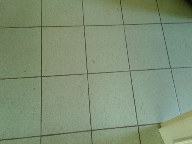 bontott SUZUKI SPLASH Jobb hátsó Ajtó Kárpit