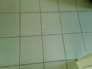 bontott SUZUKI SPLASH Jobb hátsó Ajtó Kárpit